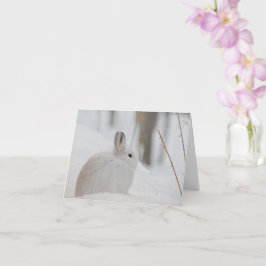 Tarjeta La liebre de la raqueta de nieve en la nieve