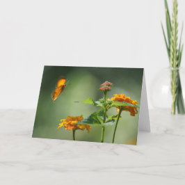 Tarjeta La luz del verano