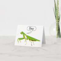 La mantis religiosa dice ey Notecard