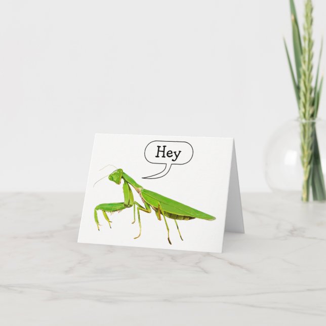 Tarjeta La mantis religiosa dice ey Notecard (Anverso)