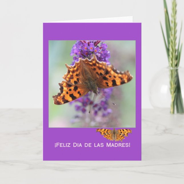 Tarjeta La mariposa de la coma se desvanece en el día de l (Anverso)