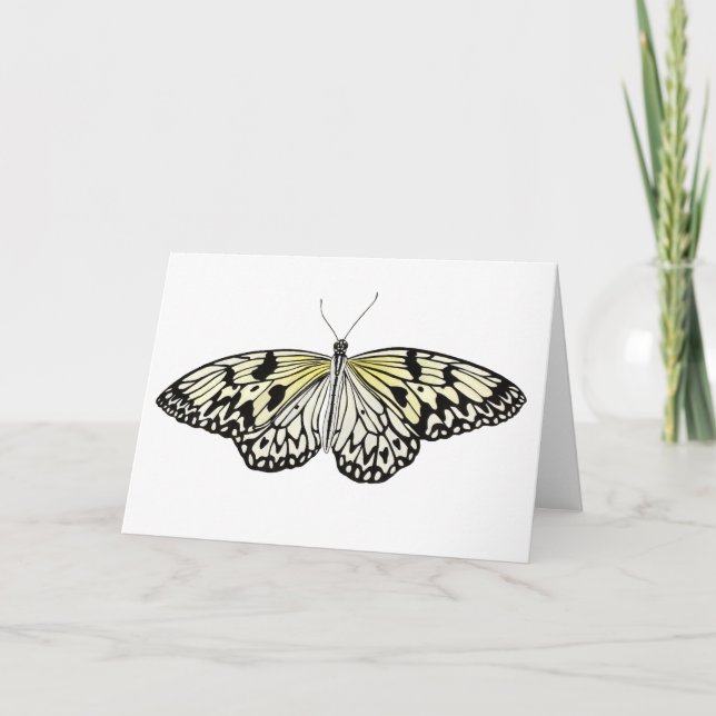 Tarjeta La mariposa de papel de la cometa (Anverso)