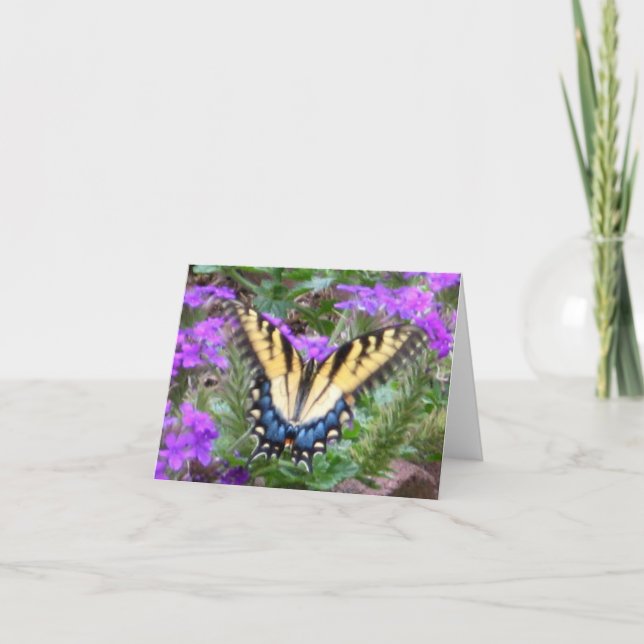 Tarjeta La mariposa honra mi jardín (Anverso)
