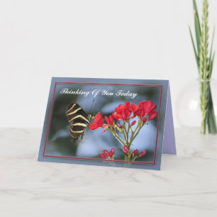 Tarjeta La mariposa que piensa en usted carda