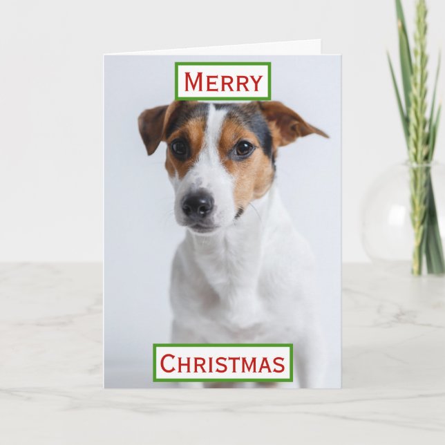 Tarjeta La mejor mamá de perro en Navidad Foto mascota (Anverso)