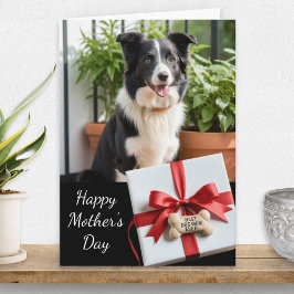 Tarjeta La Mejor Mamá Perro del Mundo Foto de Mascota Día 