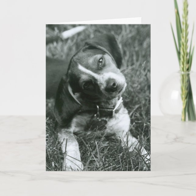 Tarjeta La mirada (Anverso)