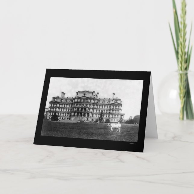 Tarjeta La moda bovina de Taft cerca del edificio de guerr (Anverso)