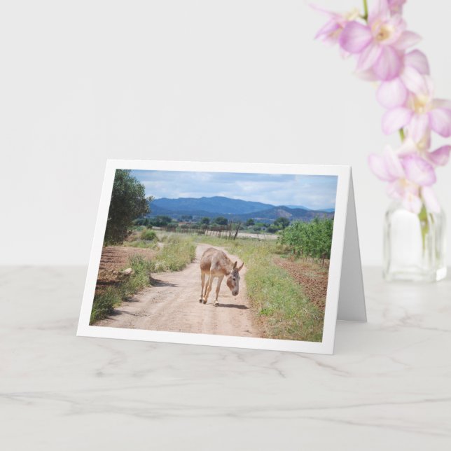 Tarjeta La mula española en el camino del país (Orquídea)