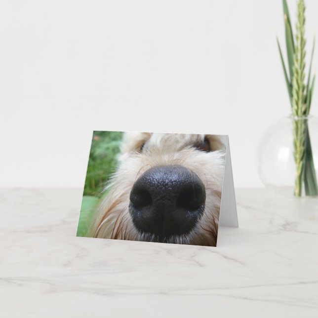 Tarjeta ¡La nariz sabe! (Anverso)