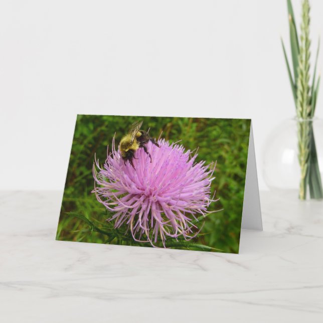 Tarjeta La naturaleza de la flor del cardo (Anverso)