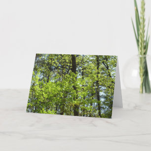 Tarjeta La naturaleza de las hojas de arce de primavera