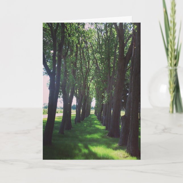 Tarjeta "La naturaleza es Guay" (Anverso)