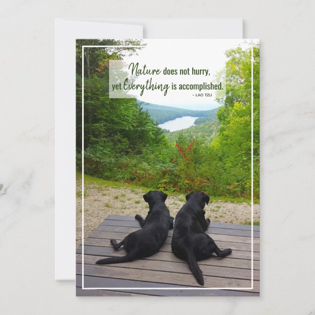 Tarjeta La Naturaleza no se apresura a citar la vida Inspi (Anverso)