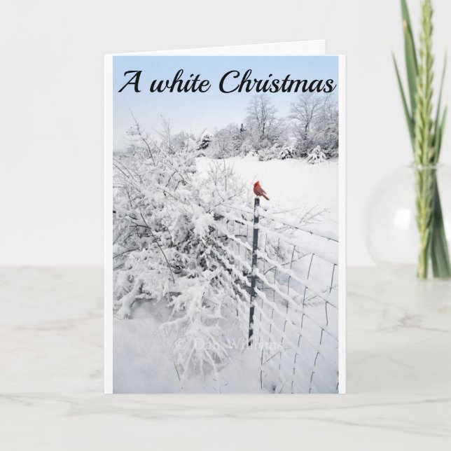 TARJETA LA NIEVE ES TAN HERMOSA ESPERANZA QUE TUS NAVIDADE (Anverso)