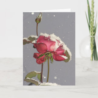 Tarjeta La nieve subió - el rosa rojo con la cubierta de