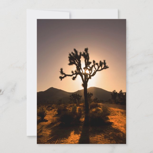 Tarjeta La noche comienza en el árbol Joshua (Anverso)
