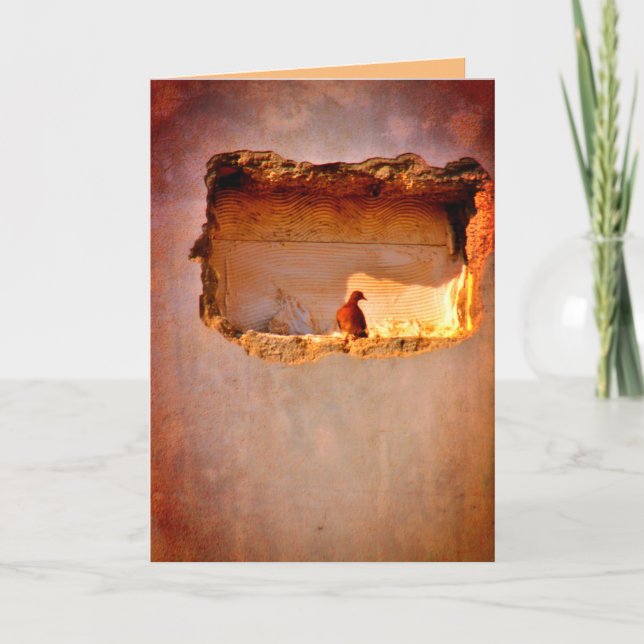 Tarjeta La paloma reflexiva (Anverso)