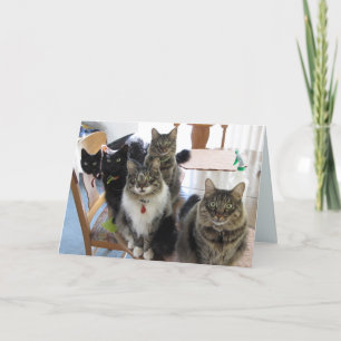 Tarjeta La pandilla se pone bien