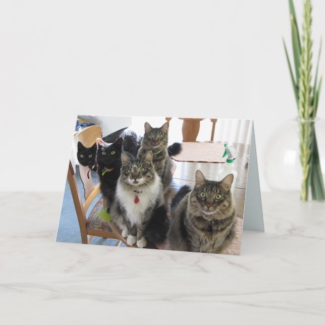 Tarjeta La pandilla se pone bien (Anverso)