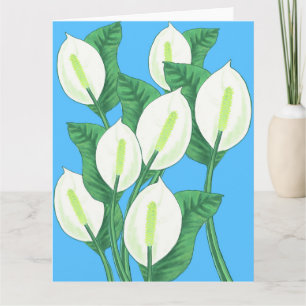 Tarjeta La paz blanca se esconde en un fondo azul pálido