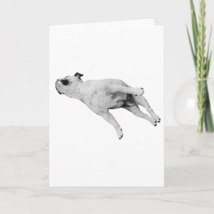 Tarjeta La paz esté con tus patas