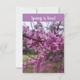 Tarjeta ¡La primavera está aquí!