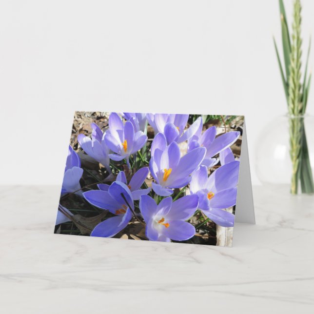 Tarjeta La primavera está estallando, las azafranes y (Anverso)