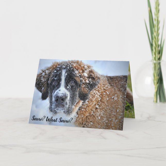 Tarjeta La primavera llega a St. Bernard Cute Bunny (Anverso)