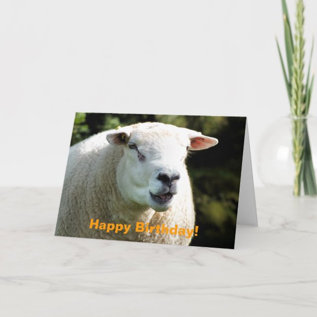 TARJETA LA RAM (Anverso)