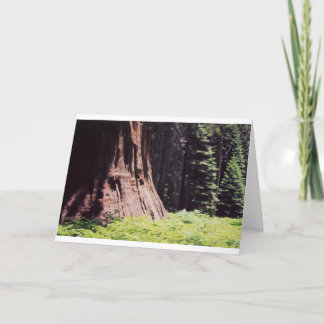 Tarjeta La secoya poderosa