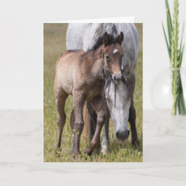 Tarjeta La serenidad de los caballos salvajes