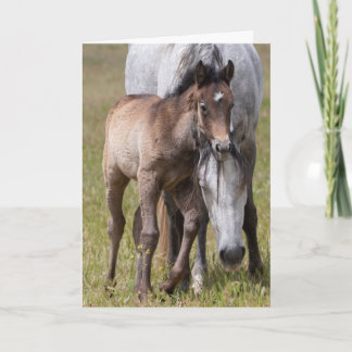 Tarjeta La serenidad de los caballos salvajes