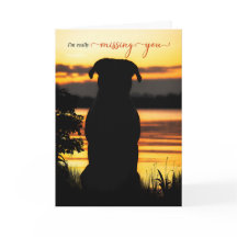 La silueta de tu perro perdida por un lago atardec