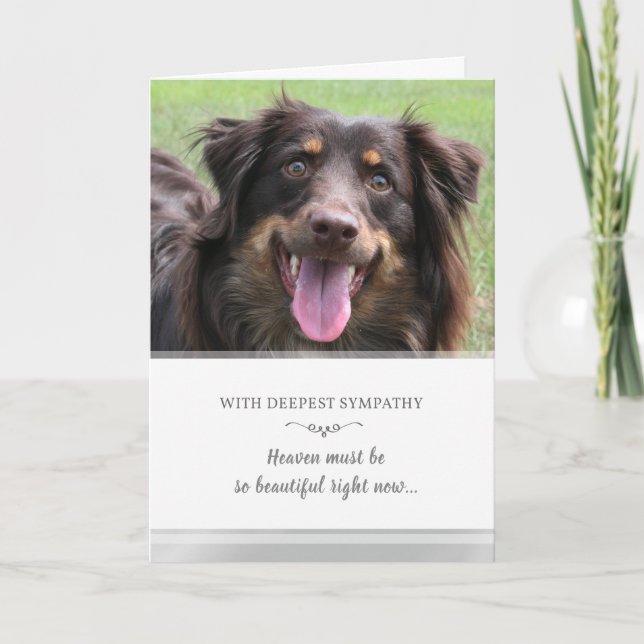 Tarjeta La simpatía del perro Personalizado La foto del ci (Anverso)