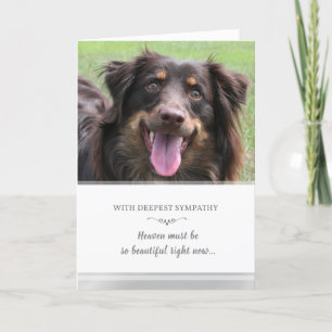 Tarjeta La simpatía del perro Personalizado La foto del ci