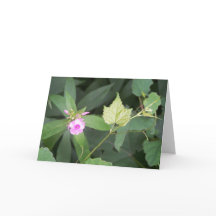 La simplicidad es la máxima sofisticación