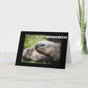 TARJETA **LA TORTUGA COMICAL** DICE QUE NUNCA TIENES EDAD!