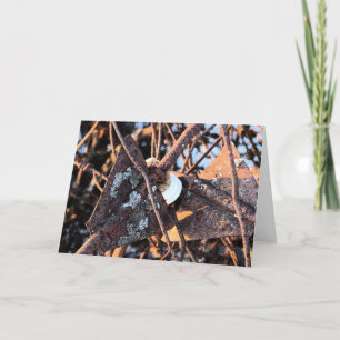 Tarjeta La vida de la pieles basura y los hongos sigue sie