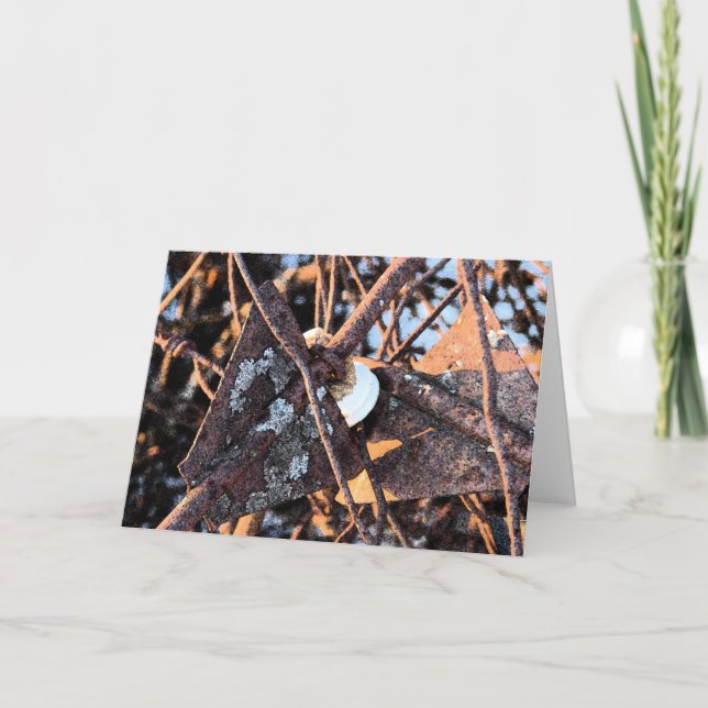 Tarjeta La vida de la pieles basura y los hongos sigue sie (Anverso)