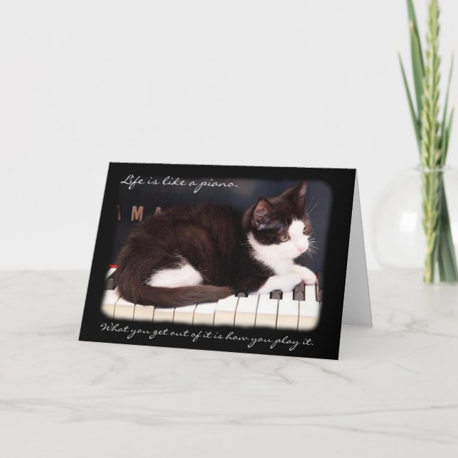 Tarjeta La vida del rescate del gato de Greyfoot es una (Anverso)