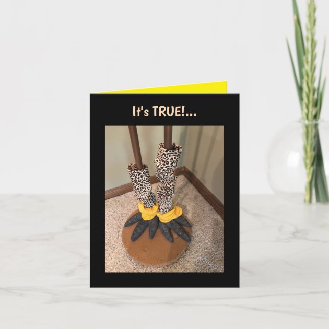 Tarjeta La vida es demasiado corta...Tarjeta de felicitaci (Anverso)