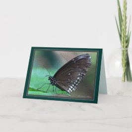 Tarjeta *La vida es eterna: Encantadora metáfora de la mue