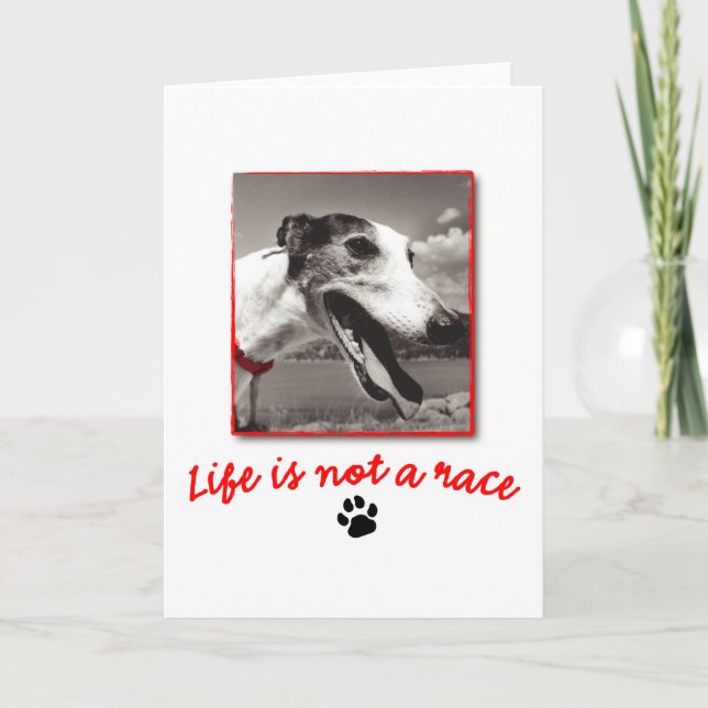 Tarjeta La vida NO es una raza (Anverso)