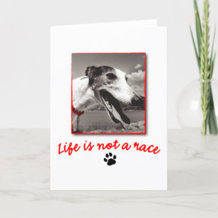 Tarjeta La vida NO es una raza