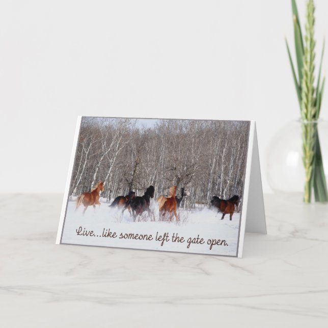 Tarjeta ¡La vida viva ..... como alguien salió de la (Anverso)