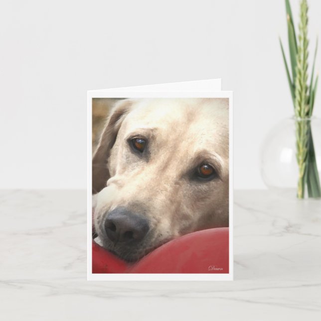 Tarjeta Laboratorio amarillo (Anverso)