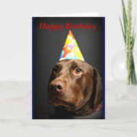 Laboratorio del card~Chocolate del feliz