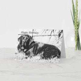 Tarjeta Laboratorio negro en el cumpleaños del sol