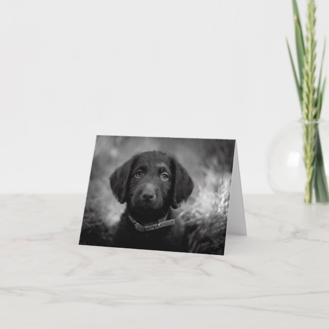 Tarjeta Labradoodle en B&W Notecard (Anverso)